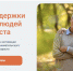 Кузбассовцы «серебряного» возраста могут обучиться секретам успешного бизнеса - Ленинск-Кузнецкий ГО