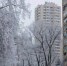 photo_5418323302763138679_y.jpg - ГАУЗ КО ОКЦОЗШ